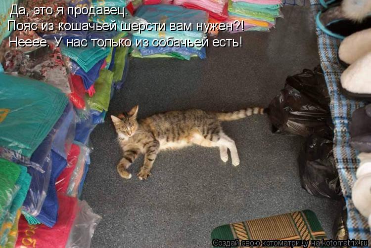 Котоматрица: Да, это я продавец. Пояс из кошачьей шерсти вам нужен?! Нееее. У нас только из собачьей есть!