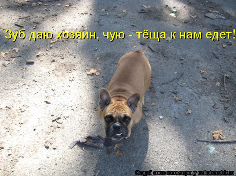 Зуб даю на немецком Зуб даю на немецком