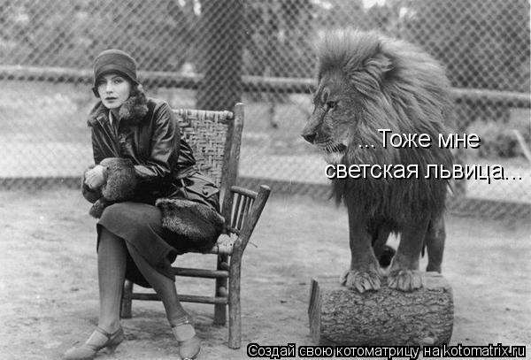...Тоже мне светская львица...... Котоматрица: ...Тоже мне светская львица...