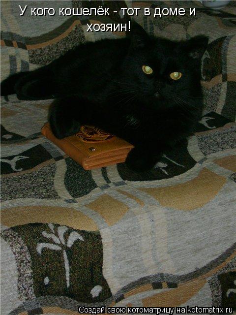 У кого кошелёк - тот в доме и хозяин!... Котоматрица: У кого кошелёк - тот в доме и хозяин!
