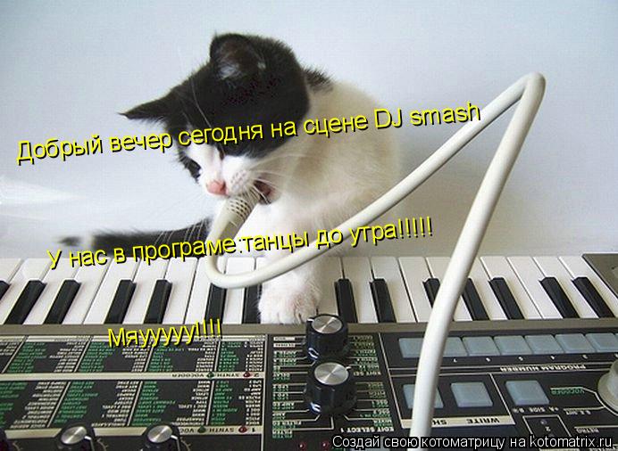 Котоматрица: Добрый вечер сегодня на сцене DJ smash У нас в програме:танцы до утра!!!!! Мяууууу!!!!