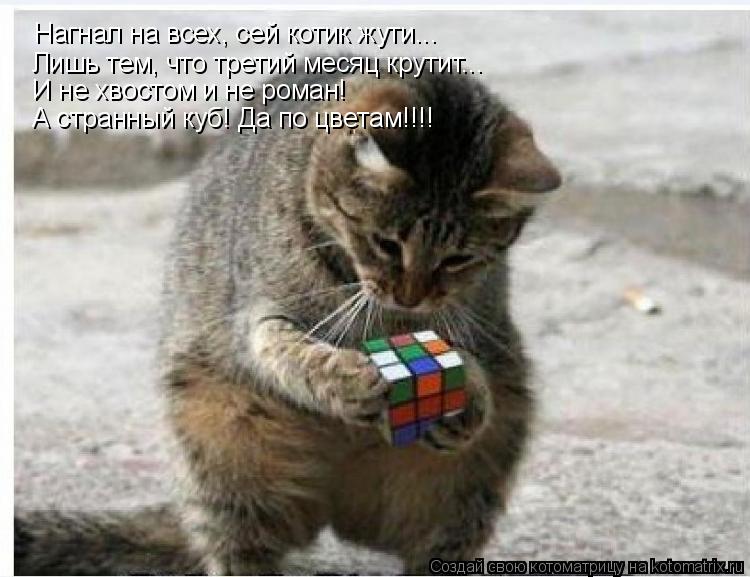 Нагнал на всех, сей котик жути... Лишь тем, что третий месяц крутит... А странный куб! Да по цветам!!... Котоматрица: Нагнал на всех, сей котик жути... Лишь тем, что третий месяц крутит... А странный куб! Да по цветам!!!! И не хвостом и не роман!