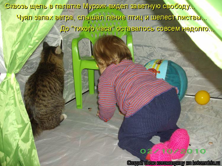 Котоматрица: Сквозь щель в палатке Мурзик видел заветную свободу... До "тихого часа" оставалось совсем недолго... Чуял запах ветра, слышал пение птиц и шел