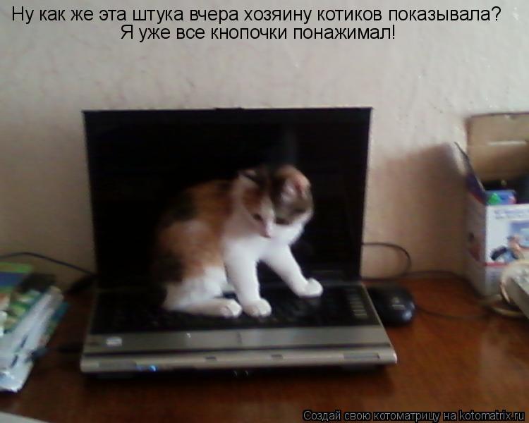 Ну как же эта штука вчера хозяину котиков показывала? Я уже все кнопочки понажимал!... Котоматрица: Ну как же эта штука вчера хозяину котиков показывала? Я уже все кнопочки понажимал!