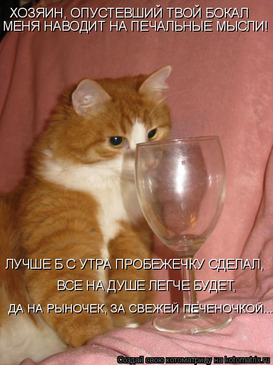 Котоматрица: ХОЗЯИН, ОПУСТЕВШИЙ ТВОЙ БОКАЛ МЕНЯ НАВОДИТ НА ПЕЧАЛЬНЫЕ МЫСЛИ! ЛУЧШЕ Б С УТРА ПРОБЕЖЕЧКУ СДЕЛАЛ,  ВСЕ НА ДУШЕ ЛЕГЧЕ БУДЕТ,  ДА НА РЫНОЧЕК, ЗА С