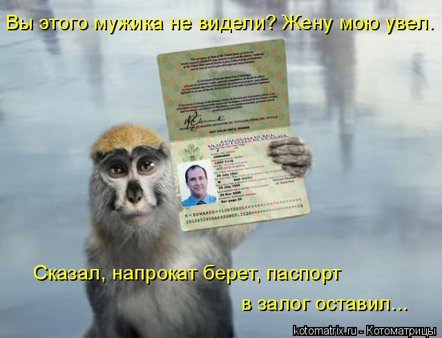 Вы этого мужика не видели? Жену мою увел. Сказал, напрокат берет, паспорт в залог оставил...... Котоматрица: Вы этого мужика не видели? Жену мою увел. Сказал, напрокат берет, паспорт в залог оставил...
