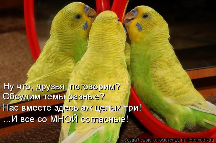 Ну что, друзья, поговорим? Обсудим темы разные? Нас вместе здесь аж целых три! ...И все со МНОЙ согл... Котоматрица: Ну что, друзья, поговорим? Обсудим темы разные? Нас вместе здесь аж целых три! ...И все со МНОЙ согласные!