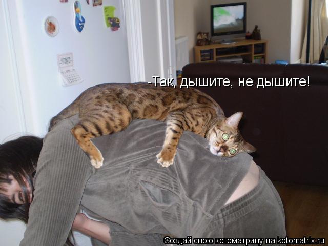 -Так, дышите, не дышите!... Котоматрица: -Так, дышите, не дышите!
