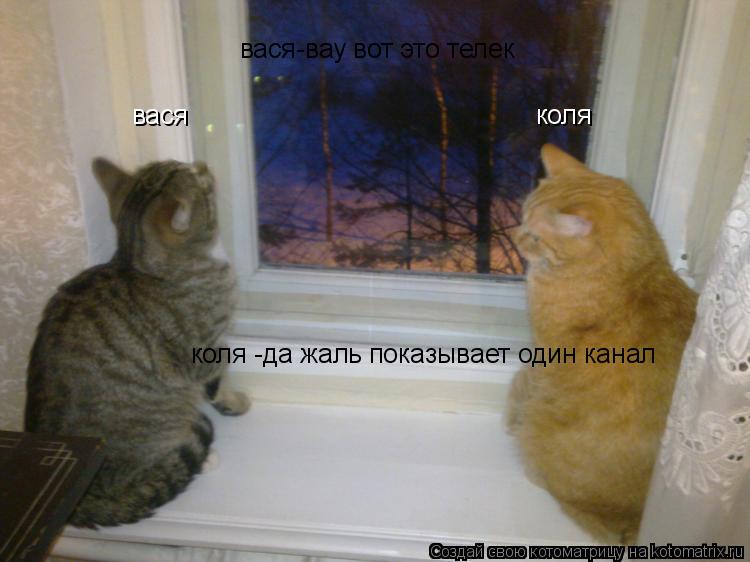 вася коля вася-вау вот это телек коля -да жаль показывает один канал... Котоматрица: вася коля вася-вау вот это телек коля -да жаль показывает один канал