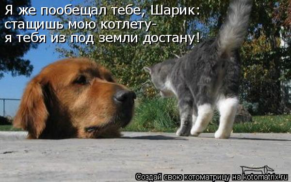 Я же пообещал тебе, Шарик: стащишь мою котлету- я тебя из под земли достану!... Котоматрица: Я же пообещал тебе, Шарик: стащишь мою котлету- я тебя из под земли достану!