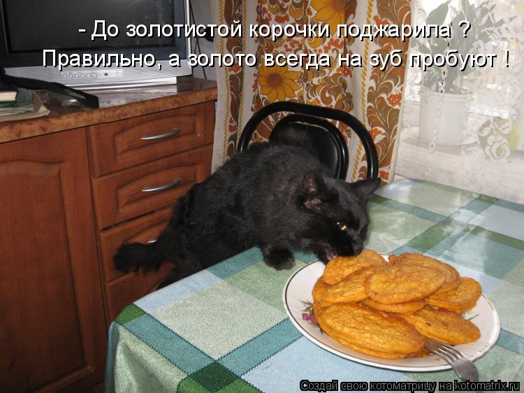 Котоматрица: - До золотистой корочки поджарила ? Правильно, а золото всегда на зуб пробуют !