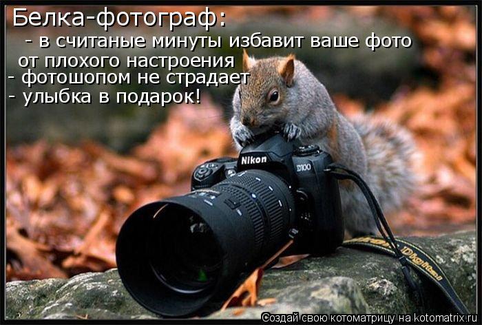 Котоматрица: Белка-фотограф: - в считаные минуты избавит ваше фото от плохого настроения - фотошопом не страдает - улыбка в подарок!