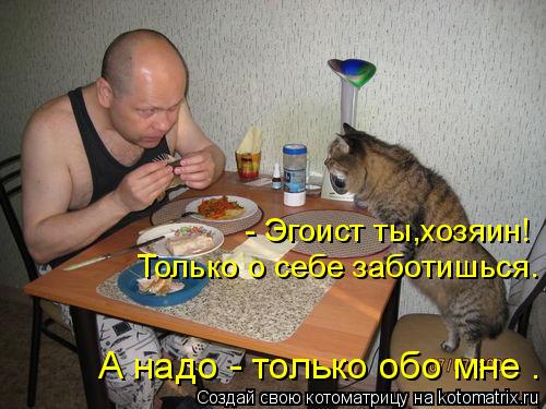 - Эгоист ты,хозяин! Только о себе заботишься. А надо - только обо мне .... Котоматрица: - Эгоист ты,хозяин! Только о себе заботишься. А надо - только обо мне .