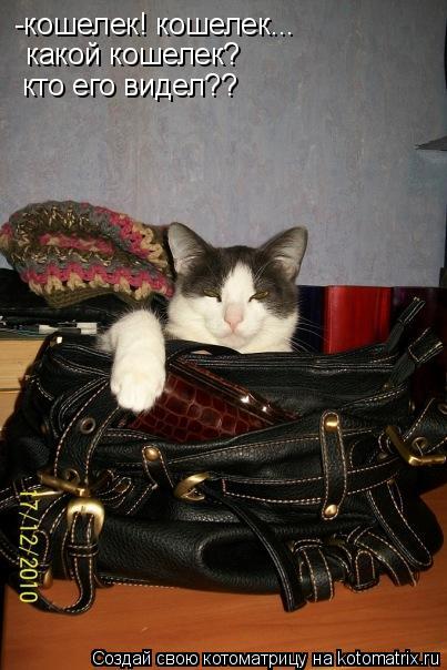 -кошелек! кошелек... какой кошелек? кто его видел??... Котоматрица: -кошелек! кошелек... какой кошелек? кто его видел??