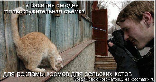 для рекламы кормов для сельских котов у Василия сегодня головокружительная съёмка... Котоматрица: для рекламы кормов для сельских котов у Василия сегодня головокружительная съёмка