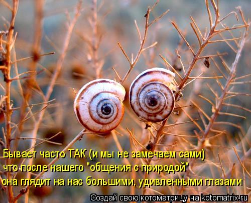 она глядит на нас большими, удивленными глазами что после нашего "общения с природой" Бывает часто ТА... Котоматрица: она глядит на нас большими, удивленными глазами что после нашего "общения с природой" Бывает часто ТАК (и мы не замечаем сами)