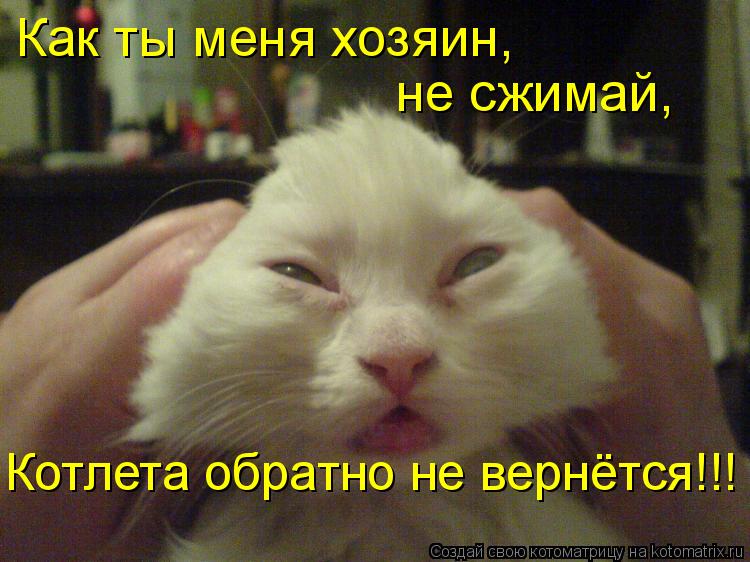 Как ты меня хозяин, не сжимай, Котлета обратно не вернётся!!!... Котоматрица: Как ты меня хозяин, не сжимай, Котлета обратно не вернётся!!!