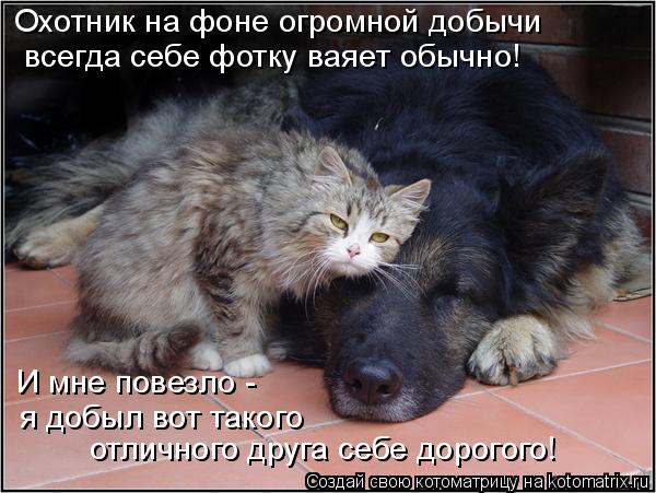 Охотник на фоне огромной добычи всегда себе фотку ваяет обычно! И мне повезло - я добыл вот такого о... Котоматрица: Охотник на фоне огромной добычи всегда себе фотку ваяет обычно! И мне повезло - я добыл вот такого отличного друга себе дорогого!
