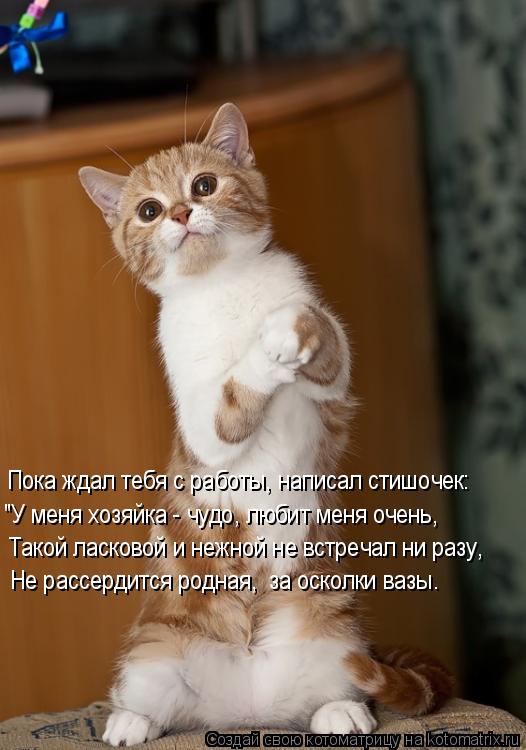 Пока ждал тебя с работы, написал стишочек: Такой ласковой и нежной не встречал ни разу, "У меня хозяй... Котоматрица: Пока ждал тебя с работы, написал стишочек: Такой ласковой и нежной не встречал ни разу, "У меня хозяйка - чудо, любит меня очень, Не рассердитс