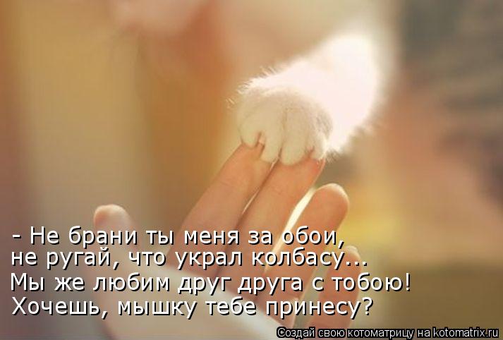 - Не брани ты меня за обои, не ругай, что украл колбасу….. Мы же любим друг друга с тобою! Хочешь, мы... Котоматрица: - Не брани ты меня за обои, не ругай, что украл колбасу….. Мы же любим друг друга с тобою! Хочешь, мышку тебе принесу?