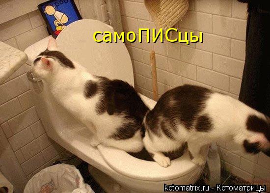 самоПИСцы... Котоматрица: самоПИСцы