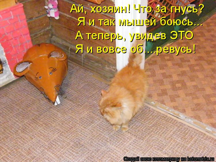 Ай, хозяин! Что за гнусь? Я и так мышей боюсь... А теперь, увидев ЭТО Я и вовсе об....ревусь!... Котоматрица: Ай, хозяин! Что за гнусь? Я и так мышей боюсь... А теперь, увидев ЭТО Я и вовсе об....ревусь!