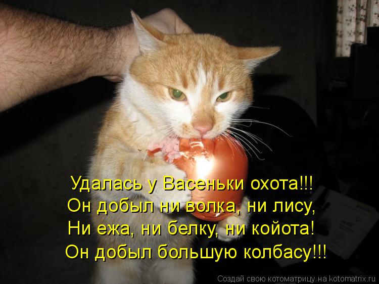 Удалась у Васеньки охота!!! Он добыл ни волка, ни лису, Ни ежа, ни белку, ни койота! Он добыл большую... Котоматрица: Удалась у Васеньки охота!!! Он добыл ни волка, ни лису, Ни ежа, ни белку, ни койота! Он добыл большую колбасу!!!