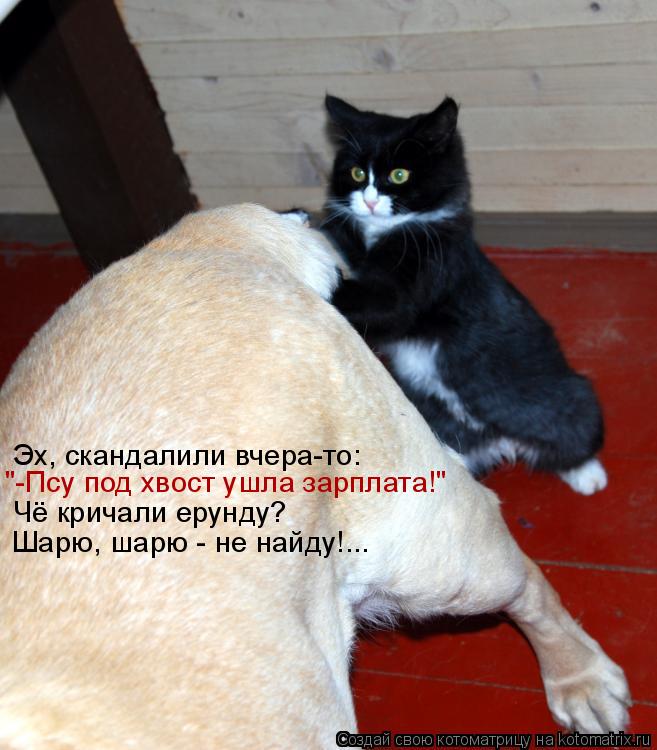 "-Псу под хвост ушла зарплата!" Эх, скандалили вчера-то: Чё кричали ерунду? Шарю, шарю - не найду!...... Котоматрица: "-Псу под хвост ушла зарплата!" Эх, скандалили вчера-то: Чё кричали ерунду? Шарю, шарю - не найду!...