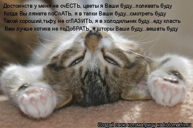 Достоинств у меня не счЕСТЬ, цветы я Ваши буду...поливать буду Когда Вы ляжете поСпАТЬ, я в тапки Ваш... Котоматрица: Достоинств у меня не счЕСТЬ, цветы я Ваши буду...поливать буду Когда Вы ляжете поСпАТЬ, я в тапки Ваши буду...смотреть буду Такой хороший,тьфу,