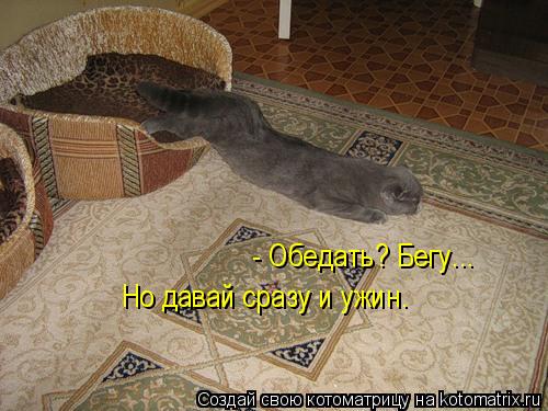 Но давай сразу и ужин. - Обедать? Бегу...... Котоматрица: Но давай сразу и ужин. - Обедать? Бегу...