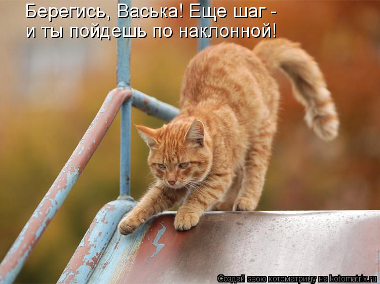 Берегись, Васька! Еще шаг - и ты пойдешь по наклонной!... Котоматрица: Берегись, Васька! Еще шаг - и ты пойдешь по наклонной!
