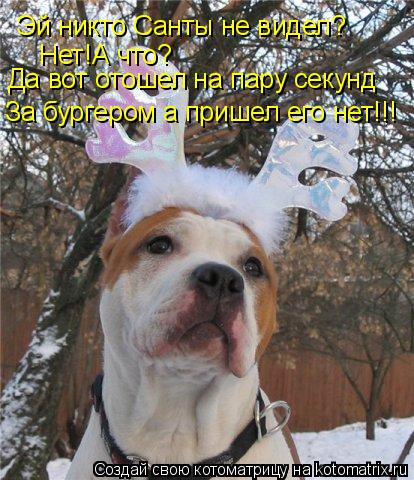 Эй никто Санты не видел? Нет!А что? Да вот отошел на пару секунд За бургером а пришел его нет!!!... Котоматрица: Эй никто Санты не видел? Нет!А что? Да вот отошел на пару секунд За бургером а пришел его нет!!!