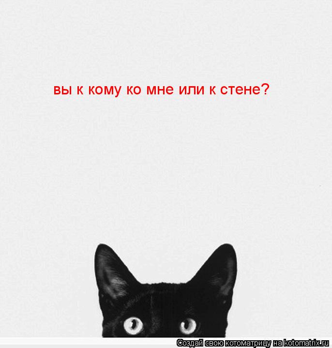 Котоматрица: вы к кому ко мне или к стене?