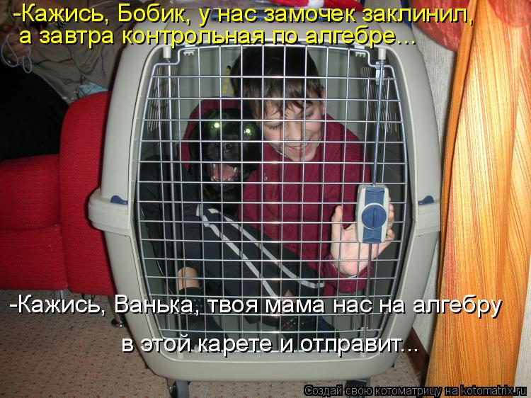 -Кажись, Бобик, у нас замочек заклинил, а завтра контрольная по алгебре... -Кажись, Ванька, твоя мам... Котоматрица: -Кажись, Бобик, у нас замочек заклинил, а завтра контрольная по алгебре... -Кажись, Ванька, твоя мама нас на алгебру в этой карете и отправит...