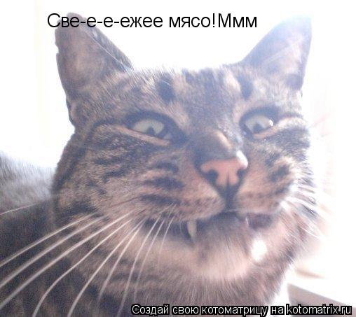 Све-е-е-ежее мясо!Ммм... Котоматрица: Све-е-е-ежее мясо!Ммм