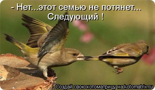 Котоматрица: - Нет...этот семью не потянет... Следующий !