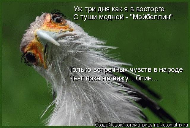 Уж три дня как я в восторге С туши модной - "Мэйбеллин". Только встречных чувств в народе Че-т пока н... Котоматрица: Уж три дня как я в восторге С туши модной - "Мэйбеллин". Только встречных чувств в народе Че-т пока не вижу... блин...