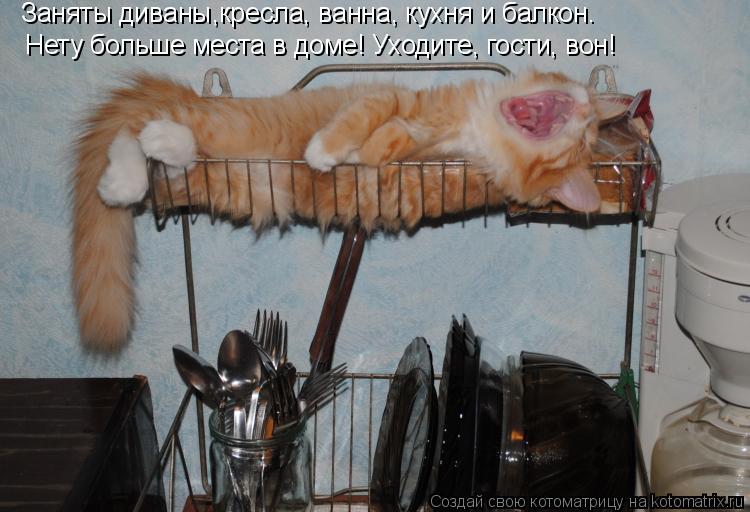 Котоматрица: Заняты диваны,кресла, ванна, кухня и балкон.  Нету больше места в доме! Уходите, гости, вон!