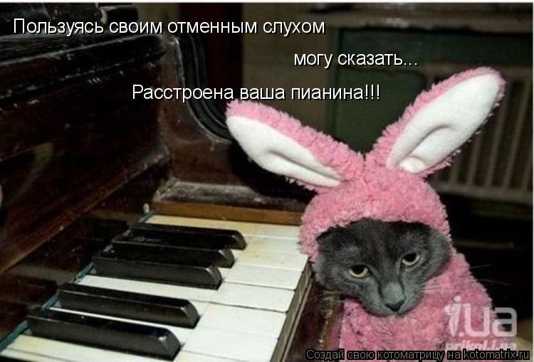 Пользуясь своим отменным слухом могу сказать... Расстроена ваша пианина!!!... Котоматрица: Пользуясь своим отменным слухом могу сказать... Расстроена ваша пианина!!!