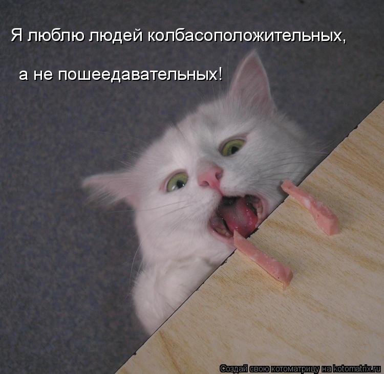 Я люблю людей колбасоположительных, а не пошеедавательных!... Котоматрица: Я люблю людей колбасоположительных, а не пошеедавательных!