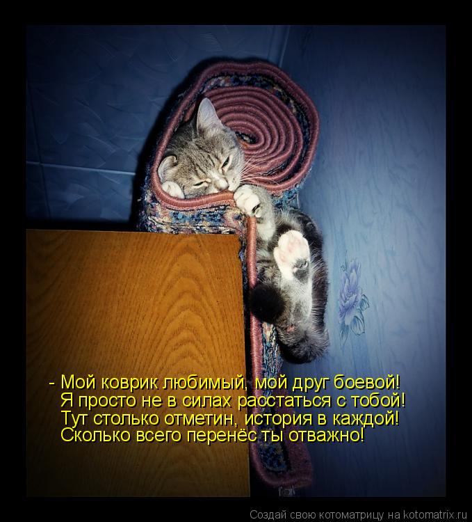 - Мой коврик любимый, мой друг боевой! Я просто не в силах расстаться с тобой! Тут столько отметин, и... Котоматрица: - Мой коврик любимый, мой друг боевой! Я просто не в силах расстаться с тобой! Тут столько отметин, история в каждой! Сколько всего перенёс ты