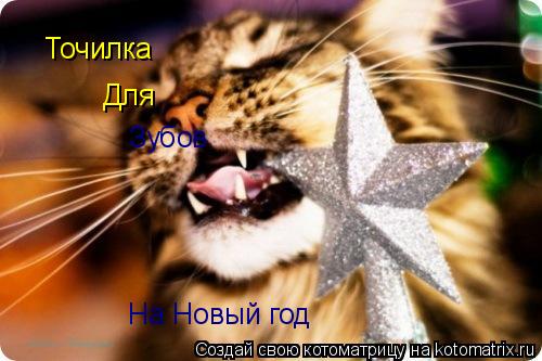 Точилка Для Зубов На Новый год... Котоматрица: Точилка Для Зубов На Новый год