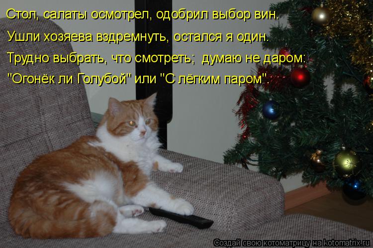 Стол, салаты осмотрел, одобрил выбор вин. Ушли хозяева вздремнуть, остался я один. Трудно выбрать, чт... Котоматрица: Стол, салаты осмотрел, одобрил выбор вин. Ушли хозяева вздремнуть, остался я один. Трудно выбрать, что смотреть; думаю не даром: "Огонёк ли Го