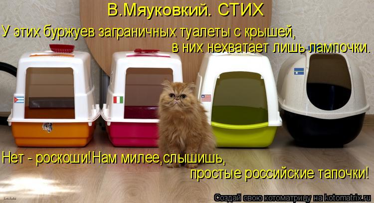 В.Мяуковкий. СТИХ У этих буржуев заграничных туалеты с крышей, в них нехватает лишь лампочки. Нет - роскоши!Нам милее,слышишь, простые российские тапо