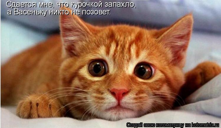 Сдается мне, что курочкой запахло, а Васеньку никто не позовет.... Котоматрица: Сдается мне, что курочкой запахло, а Васеньку никто не позовет.