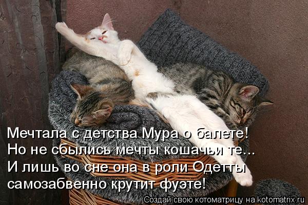 Мечтала с детства Мура о балете! Но не сбылись мечты кошачьи те….. И лишь во сне она в роли Одетты са... Котоматрица: Мечтала с детства Мура о балете! Но не сбылись мечты кошачьи те….. И лишь во сне она в роли Одетты самозабвенно крутит фуэте!