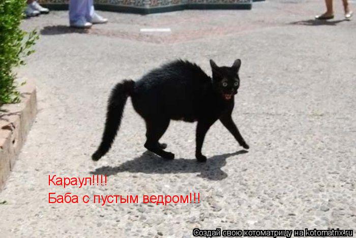 Караул!!!! Баба с пустым ведром!!!... Котоматрица: Караул!!!! Баба с пустым ведром!!!
