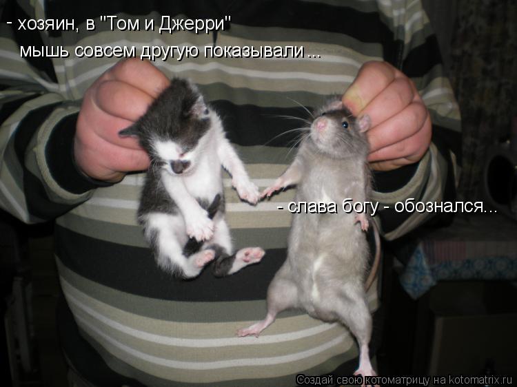 хозяин, в "Том и Джерри" мышь совсем другую показывали - ... - слава богу - обознался...... Котоматрица: хозяин, в "Том и Джерри" мышь совсем другую показывали - ... - слава богу - обознался...
