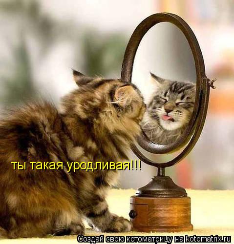 ты такая уродливая!!!... Котоматрица: ты такая уродливая!!!