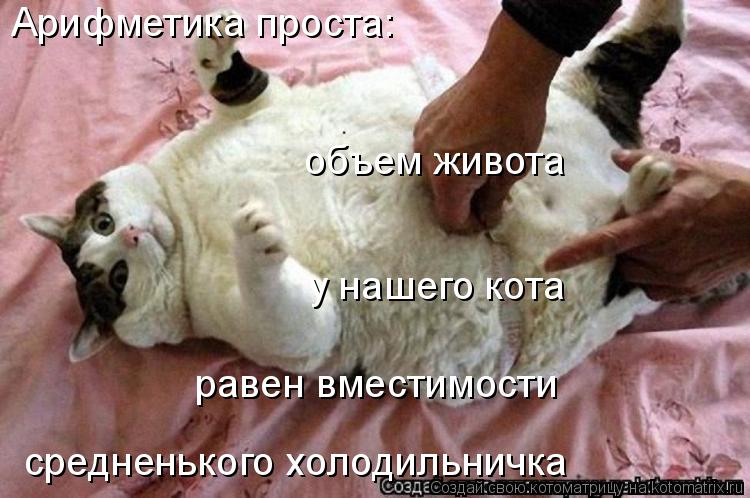 Арифметика проста: объем живота y нашего кота равен вместимости средненького холодильничка... Котоматрица: Арифметика проста: объем живота y нашего кота равен вместимости средненького холодильничка